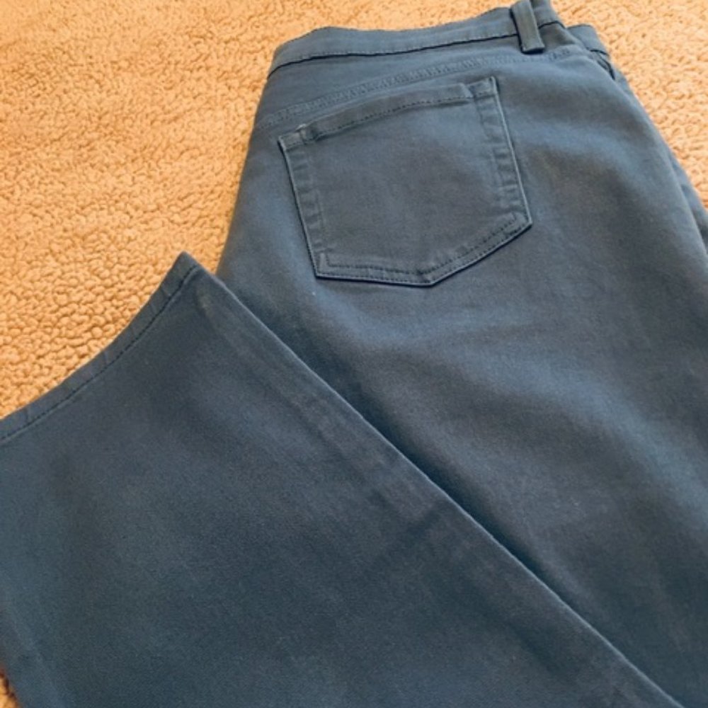 Ladies Gloria Vanderbilt Jeans  Missy Size 18 Short